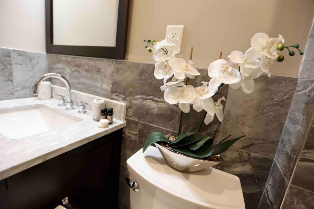 504 Luxe 1Bdr Apt In Center City Philadelphia Dış mekan fotoğraf